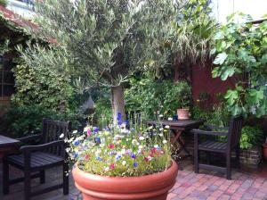 Ein Garten an der Unterkunft Atlantic Hotel Garni