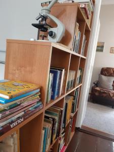 a book shelf filled with books and a lamp at Dom pod lasem in Ruciane-Nida