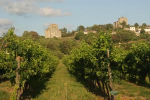 uma fileira de vinhas com um castelo ao fundo em Romantic Gite nr St Emilion with Private Pool and Views to Die For em Pujols-sur-Ciron