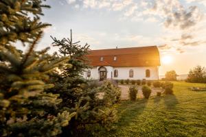 Fotografie z fotogalerie ubytování Conacul Nagy v destinaci Coşeni