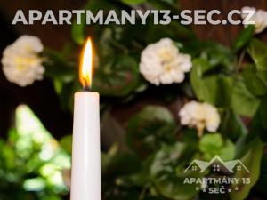 Gambar di galeri bagi Apartmánový dům 13 Podkroví 2 di Seč