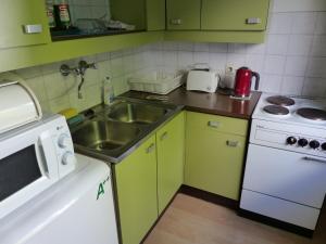 una pequeña cocina con armarios verdes y fregadero en Apartment Danhauser, en Viena