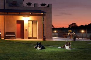 Casa Montefiore 13 LT nella tranquilla campagna Marchigiana kisállat-vendégei