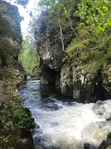 Zdjęcie z galerii obiektu Ferienwohnung am Hirtenpfad w mieście Lenzkirch