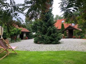 a christmas tree in the middle of a yard at Dworek Szyszki - Kaszuby in Liniewko