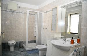 a bathroom with a sink and a toilet and a shower at Apartma Čuk in Dutovlje +14 photos