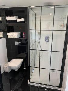 a bathroom with a shower and a toilet at Siedlisko Przyjazne Progi in Rusocice