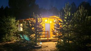 博尔斯克DOMKI We MGLE - Borsk的小屋,晚上在树林里设有一扇灯门