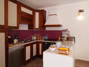 a kitchen with a sink and a counter top at Lu Lisandru in Abbiadori