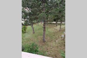 Gallery image of Casa Beatrice in Pescocostanzo
