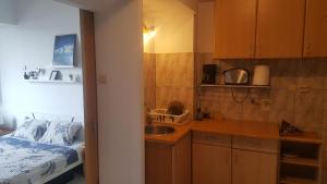 Η κουζίνα ή μικρή κουζίνα στο Calea Victoriei Studio +3 φωτογραφίες