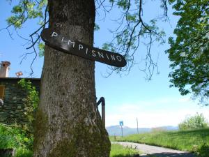 a street sign attached to a tree at Chalet Pimpisnino by Interhome in Brissago