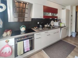 Cuina o zona de cuina de Apartment Allod Park Haus C 207 by Interhome