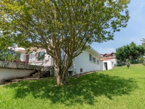 a tree in the yard of a house at Holiday Home Chemin de l'Empereur by Interhome in Guéthary