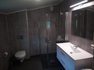 een badkamer met een douche, een wastafel en een toilet bij Stenvåg Camping in Eidsdal