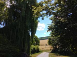 polna droga z drzewami i pole w oddali w obiekcie Untere Ferienwohnung Asshoff in Ahorn w mieście Berolzheim