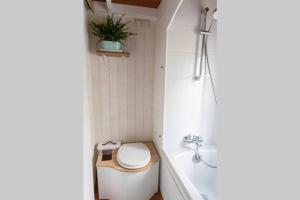 Vonios kambarys apgyvendinimo įstaigoje Tiny house en Baie du Mont-Saint-Michel