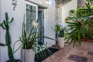 
a small garden with plants growing in it at Injoy Lofts Ipanema in Rio de Janeiro
