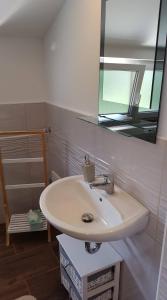 a bathroom with a white sink and a mirror at Apartma Cifra Begunje in Begunje na Gorenjskem