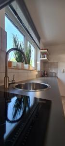 a kitchen with a sink and a window at FeWo Sonnenlay - Apartments an der Mosel in Brauneberg