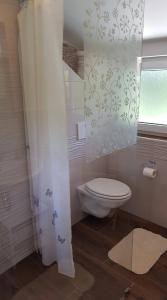 uma casa de banho com um WC e uma cabina de duche em vidro. em Apartma Cifra Begunje em Begunje na Gorenjskem