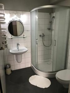 a bathroom with a shower and a sink and a toilet at Rezydencja Sandomierska in Sandomierz