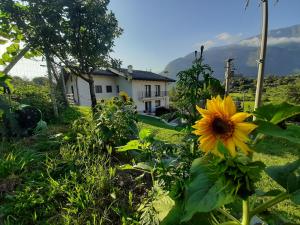 A garden outside La Maison de Joanna 2