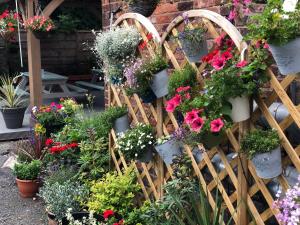 Zahrada ubytování Hendham House