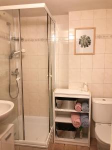 een badkamer met een douche, een wastafel en een toilet bij Dorota in Karlsbad
