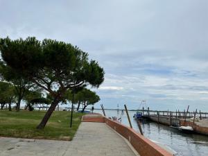 a dock with a tree next to a body of water at Cà di Pizzo di Burano in Burano