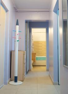 een kamer met een raket in het midden van een gang bij Diana Sunshine Apartment in Tulcea