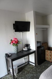 TV a/nebo společenská místnost v ubytování Chalet Motel