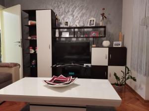 Televiisor ja/või meelelahutuskeskus majutusasutuses Apartman Caroline