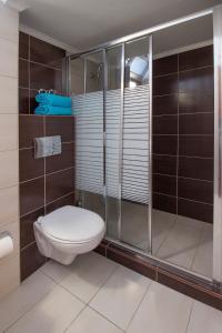 a bathroom with a toilet and a shower at Galini apartments Polyhrono in Kassandria