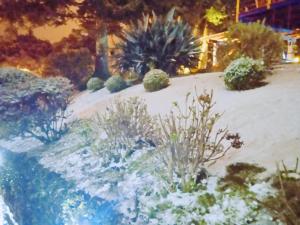 a painting of a garden with plants in the snow at Residencial Pousada do Serrano in Gramado