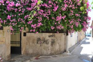 Fotografia z galérie ubytovania Κέντρο Αίγινα ήσυχη κατοικία90τμ δίπλα στη θάλασσα v destinácii Ejina