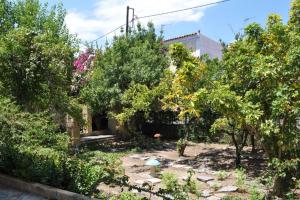 Vonkajšia záhrada v ubytovaní Κέντρο Αίγινα ήσυχη κατοικία90τμ δίπλα στη θάλασσα
