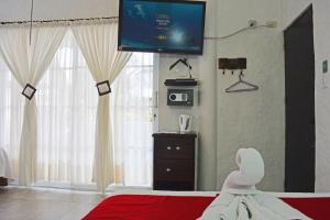 TV a/nebo společenská místnost v ubytování Hostal Cann's House