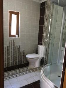 Villa Coast of Montenegro في بار: حمام مع مرحاض ودش زجاجي
