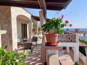 Táj Show holiday homes közelében Még 27 kép