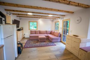 ein Wohnzimmer mit einem rosa Sofa und einer Küche in der Unterkunft Chalet TISA in Bohinj