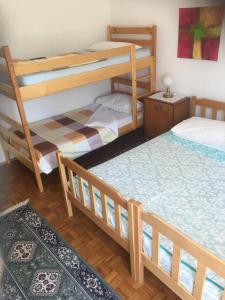a bedroom with two bunk beds and a rug at HOSTEL-SezanaLOKEV B&B in Sežana