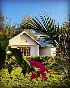 Uroa Getaway في اوروا: منزل أمامه زهور وردية