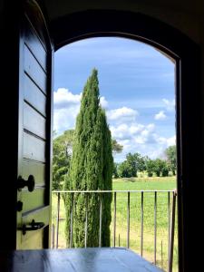 - une vue sur un arbre depuis une fenêtre dans l'établissement Casale Viridi - nel fresco delle colline Umbre, à Narni