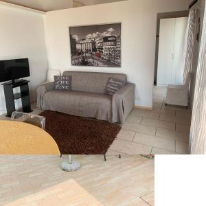 a living room with a couch and a tv at La Casina Apartment - con giardino e piscina in Pozzolengo