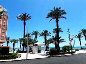 a street with palm trees in front of the beach at Almudena Estudio in Torrevieja