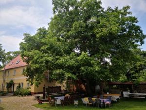Zahrada ubytování Gästehaus Liemehna