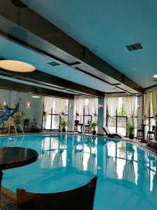 a large swimming pool in a hotel room at Pension Casa Drumetului in Piatra Neamţ