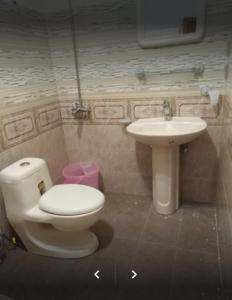 a bathroom with a toilet and a sink at Arcadian Inn Hotel in Gilgit