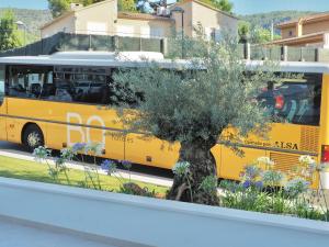 a yellow bus is parked next to a tree at BQ Belvedere Hotel in Palma de Mallorca